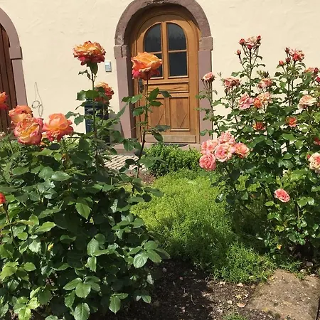In Historischem In Der Eifel Apartment *