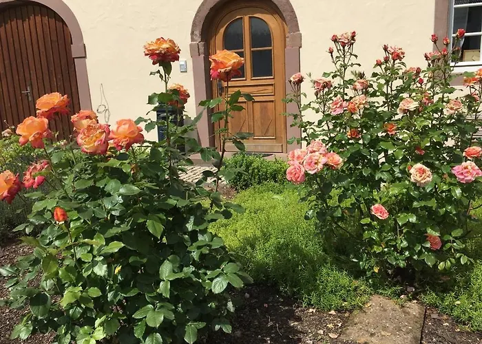 In Historischem In Der Eifel Apartamento *